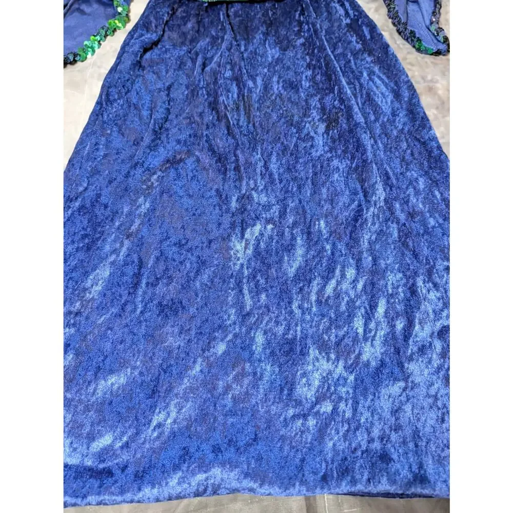 Medieval Princess Sorceress Dress Girls Child Size S 4-6x Halloween Costume